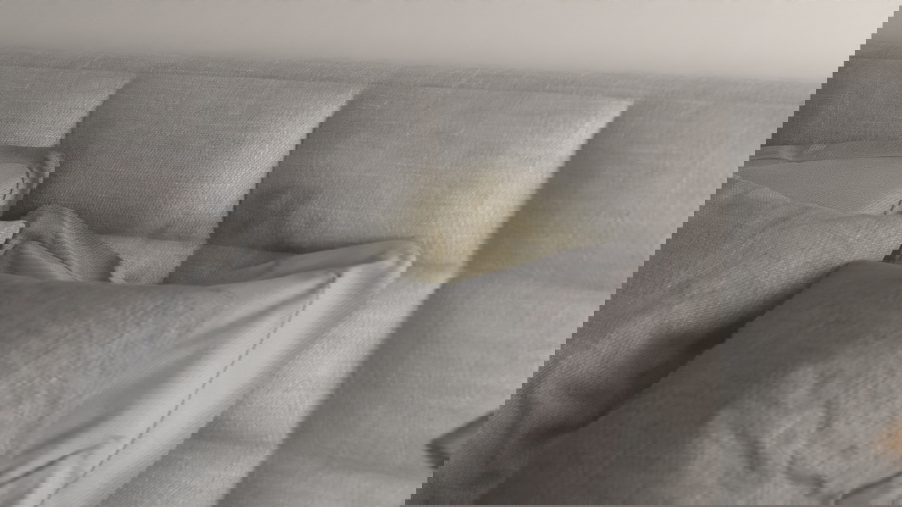 Iproteqt voor Boxsprings + 5 jaar protectie